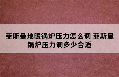 菲斯曼地暖锅炉压力怎么调 菲斯曼锅炉压力调多少合适